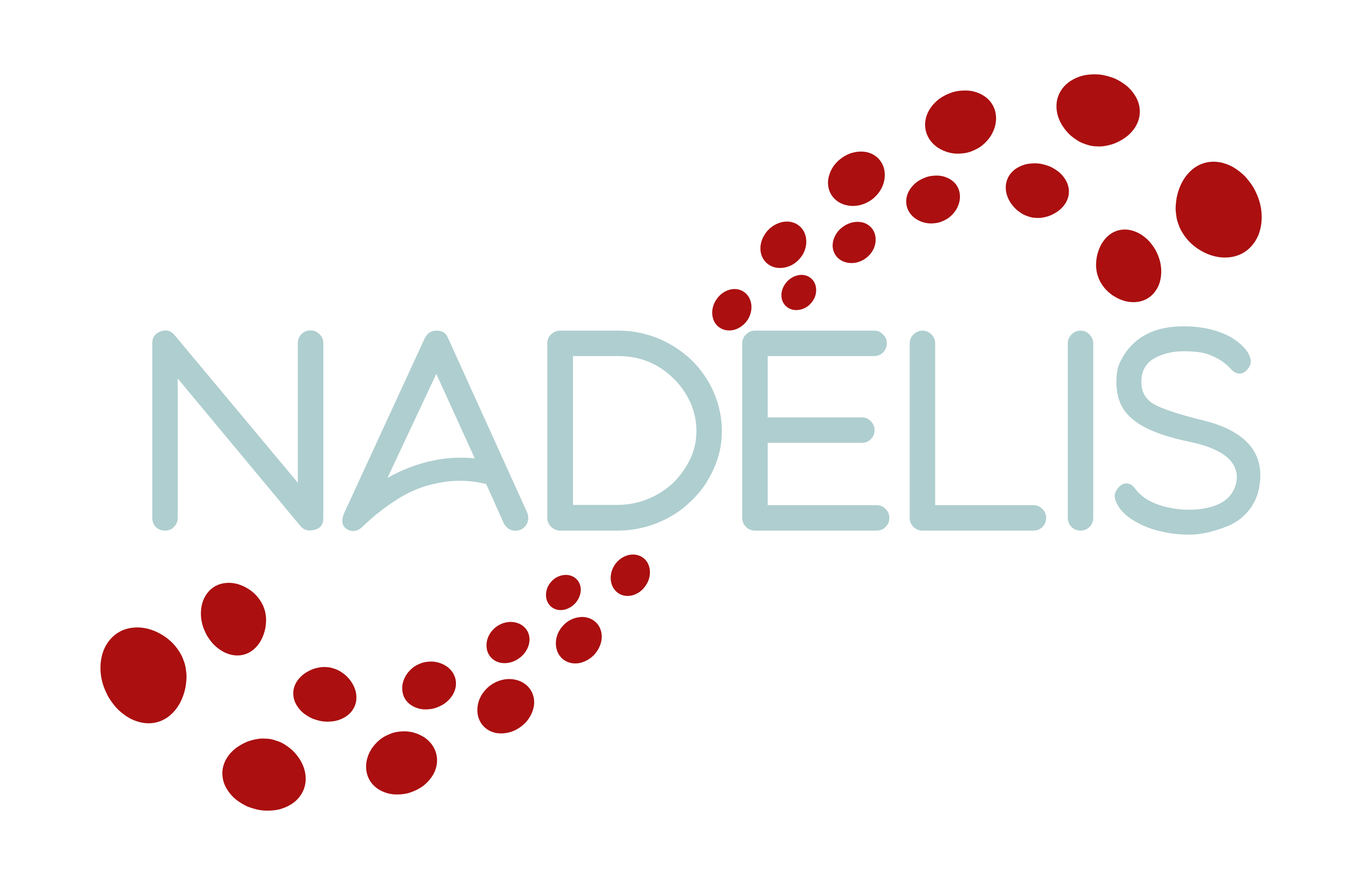 Nadelis